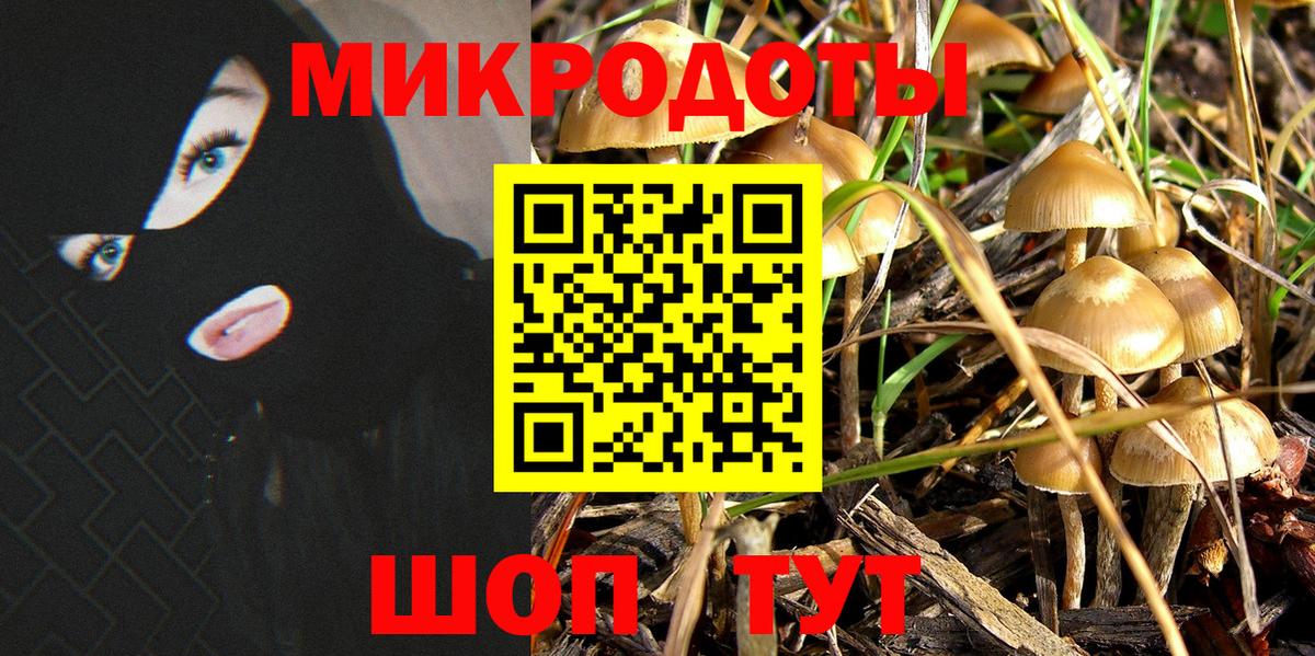 Жигулёвск  Галлюциногенные грибы мицелий  Вход с VPN 
